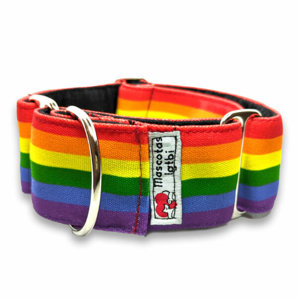 collar martingale bandera gay 01 collar martingale arcoiris